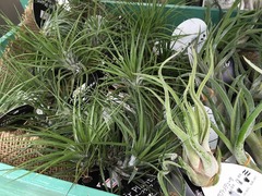 20150822182312.jpg