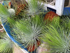 20150823124010.jpg