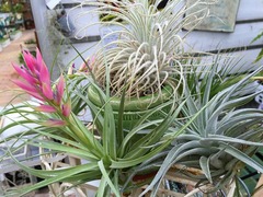 20150823124520.jpg