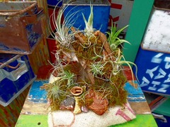 20150823160530.jpg