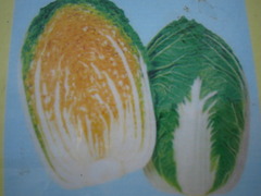 20150913202505.JPG