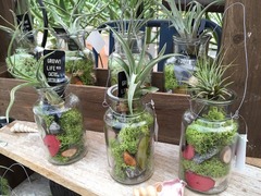 20150916190515.jpg