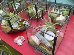 20150916191020.jpg