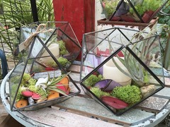 20150916191223.jpg