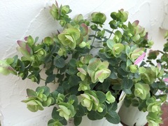 20150920200710.jpg