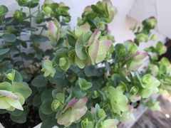 20150920201220.jpg