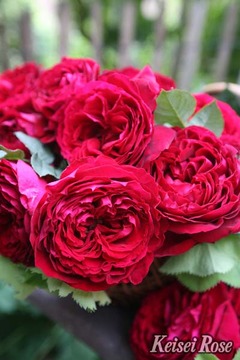 Gospel_2012-002.jpg