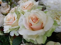 20151005190510.jpg