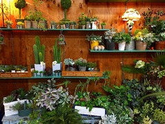 20151005192550.jpg