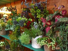 20151005193005.jpg