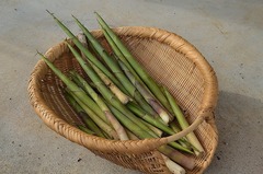 nemagaridake20151001.jpg
