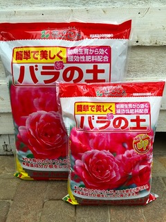 roseaka20160101.jpg