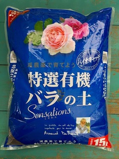 roseao20160101.jpg