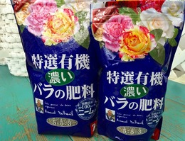 roseao20160102.jpg
