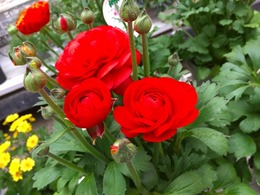 20160206110755.jpg