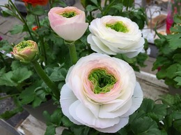 20160206111205.jpg