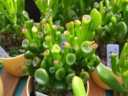 20160206164020.jpg