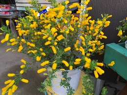 20160211170520.jpg