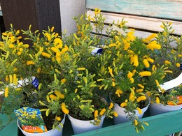20160211171030.jpg