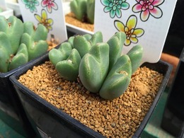20160215141010.jpg