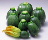 「夏野菜《ズッキーニ》」