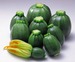 「夏野菜《ズッキーニ》」