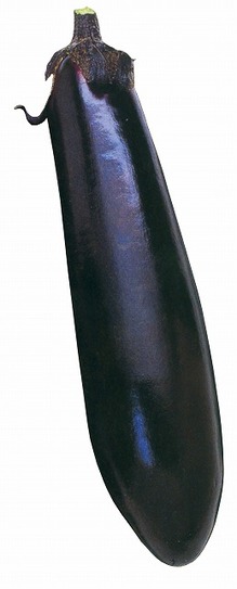nasuhigomurasaki2016haru.jpg