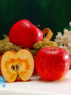 ringopainapple2016haru01.jpg