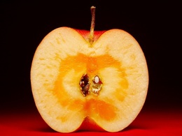 ringopainapple2016haru02.jpg
