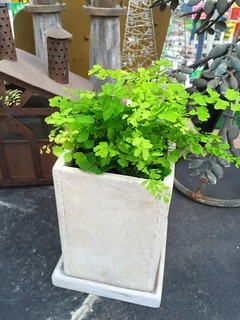 20160515140515.jpg