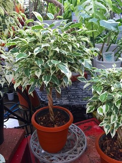 20160629143205.jpg
