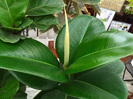 20160629143811.jpg