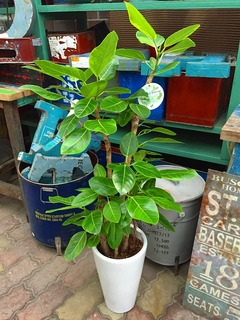 20160629144215.jpg