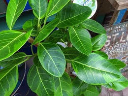 20160629144517.jpg