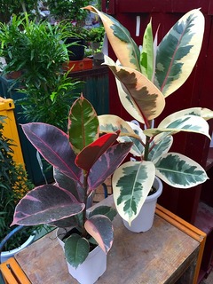 20160629145527.jpg