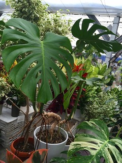 20160801161505.jpg