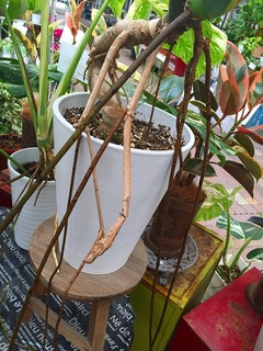 20160801162515.jpg