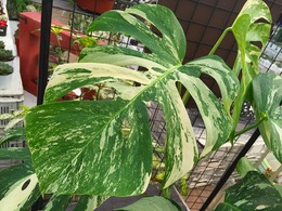 20160801162818.jpg