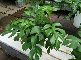 20160801163223.jpg