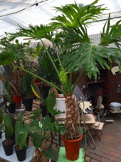 20160801163525.jpg