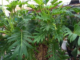 20160801164738.jpg