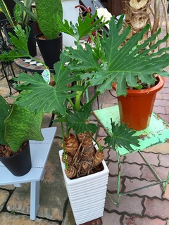 20160801165040.jpg
