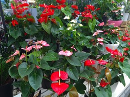 20160801165242.jpg
