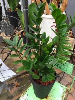 20160801171215.jpg