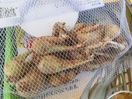 20160802151003.jpg