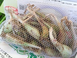 20160802152005.jpg