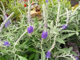 20160904131520.jpg