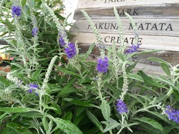 2016090414131015.jpg
