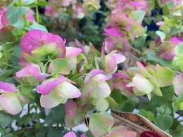 2016101314350502.jpg