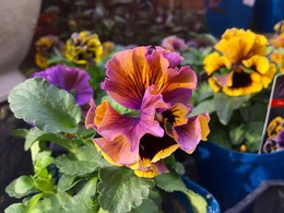 20161114170520.jpg